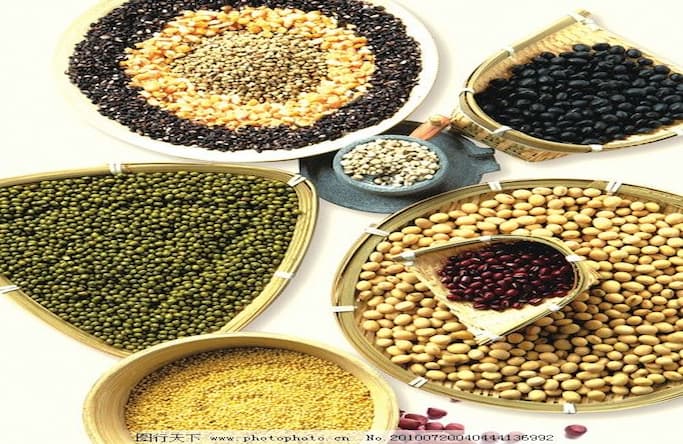 Yuanxin lance une ligne automatisée de fabrication de sacs en papier à double vis ZD140-2